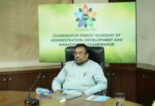 पालकमंत्र्यांकडून ताडोबा अंधारी व्याघ्र प्रकल्पातील प्रस्तावित कामांचा व पर्यटन क्षेत्राचा आढावा