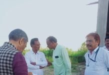 शेतकऱ्यांचे उत्पन्न वाढण्यासाठी तांत्रिक मार्गदर्शन