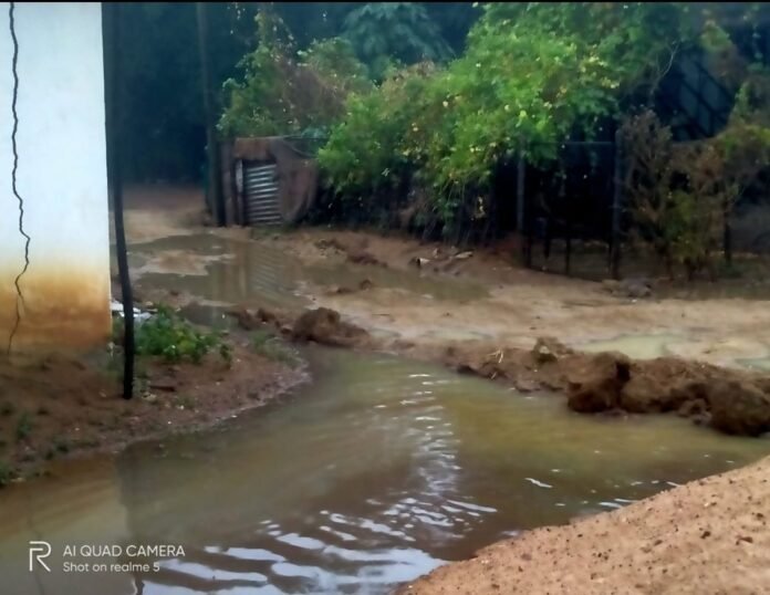 Screenshot_20240429-122432_WhatsApp