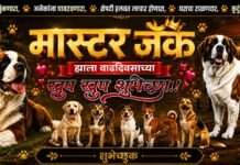 कुत्र्याच्या वाढदिवसाचे बॅनर ठरले कारवाईला कारण, नगर प्रशासनाच्या पुढील कारवाई कडे जनतेचे लक्ष