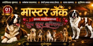 कुत्र्याच्या वाढदिवसाचे बॅनर ठरले कारवाईला कारण, नगर प्रशासनाच्या पुढील कारवाई कडे जनतेचे लक्ष