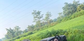 वाहना वरील नियंत्रन सुटल्याने झालेल्या अपघातात एकाचा मृत्यू, तीन जखमी